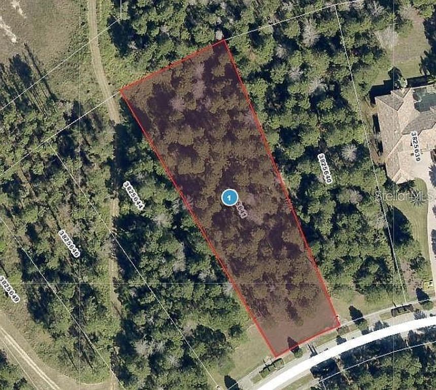 16036 PENDIO DRIVE, Bella Collina, FL 34756
