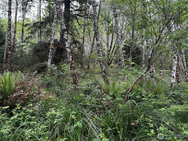 31010 Sandridge Road, Oysterville, WA 98640