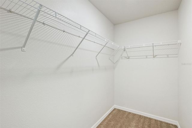 1676 GOPHER TREE STREET, Mascotte, FL 34753