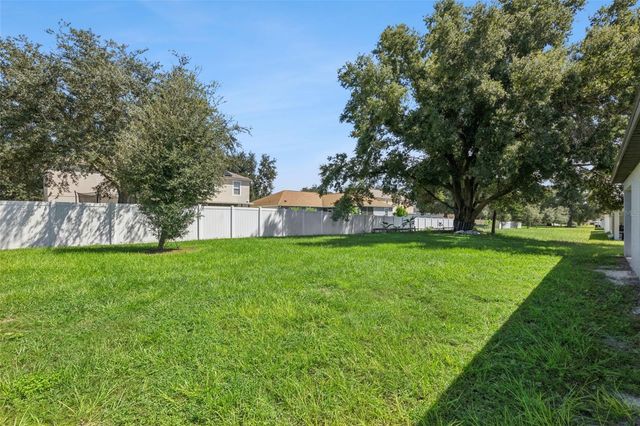 1676 GOPHER TREE STREET, Mascotte, FL 34753