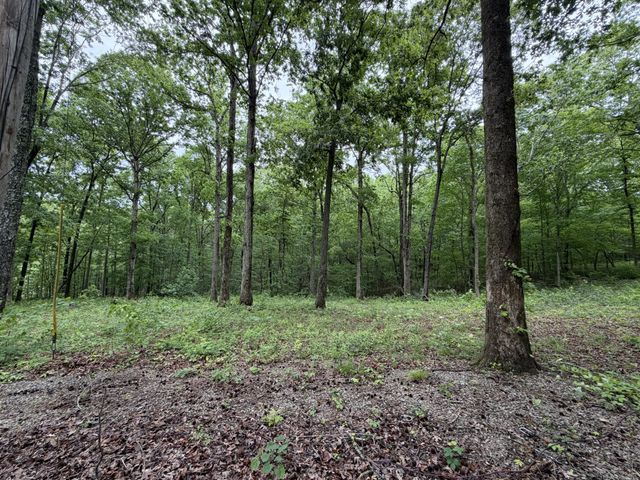1636 Old Highway 18, Dover, TN 37058