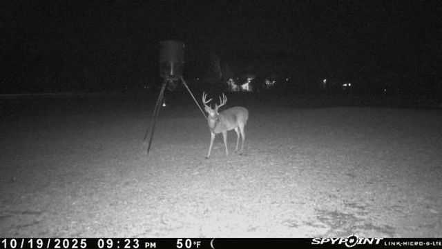 399 County Road 3015, New Boston, TX 75570