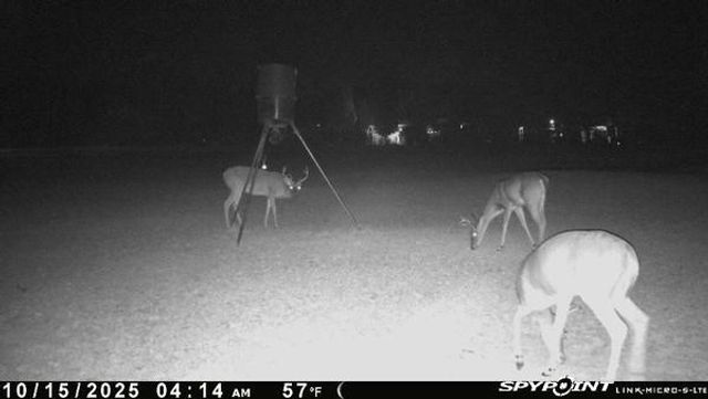 399 County Road 3015, New Boston, TX 75570