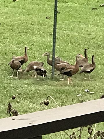 399 County Road 3015, New Boston, TX 75570