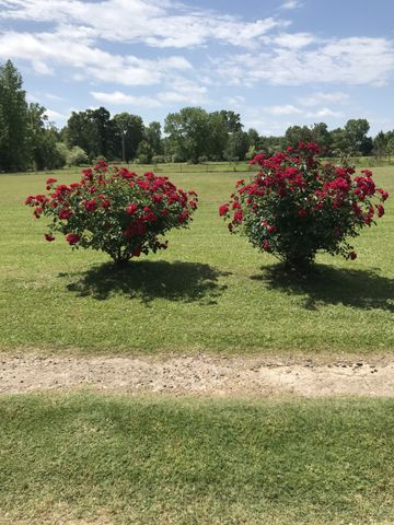 399 County Road 3015, New Boston, TX 75570