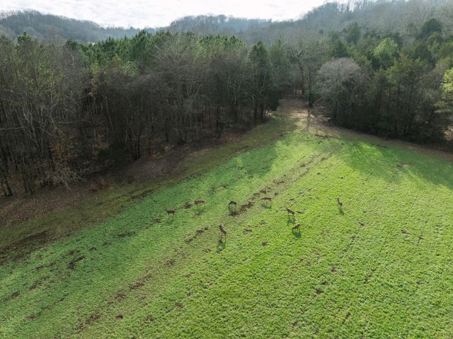 680 Morrell Road, Pulaski, TN 38478