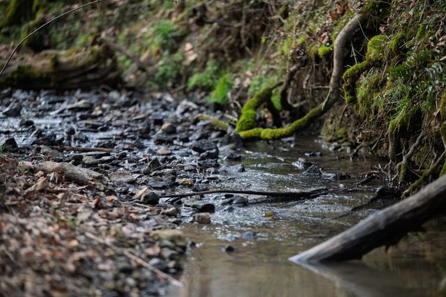 680 Morrell Road, Pulaski, TN 38478