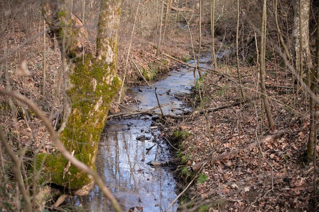 680 Morrell Road, Pulaski, TN 38478