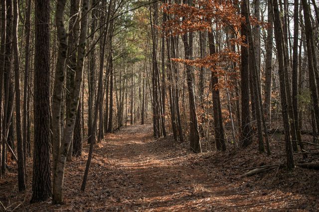 680 Morrell Road, Pulaski, TN 38478