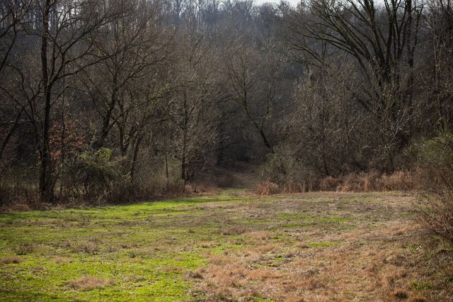 680 Morrell Road, Pulaski, TN 38478