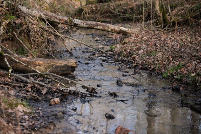 680 Morrell Road, Pulaski, TN 38478