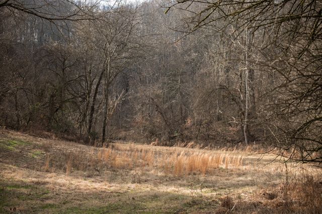 680 Morrell Road, Pulaski, TN 38478