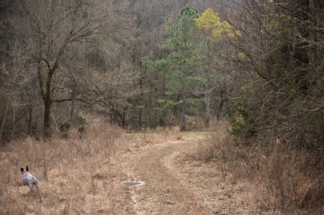 680 Morrell Road, Pulaski, TN 38478