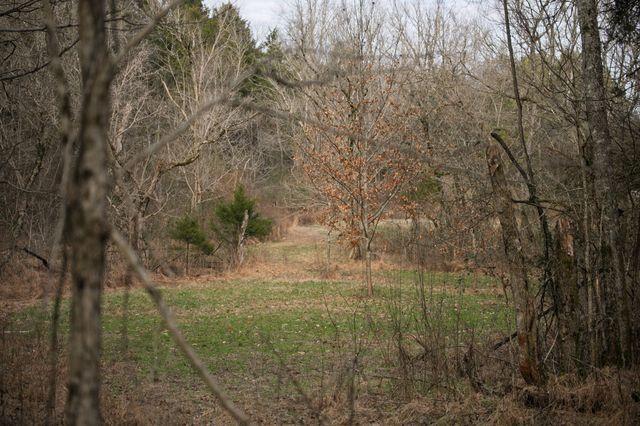 680 Morrell Road, Pulaski, TN 38478