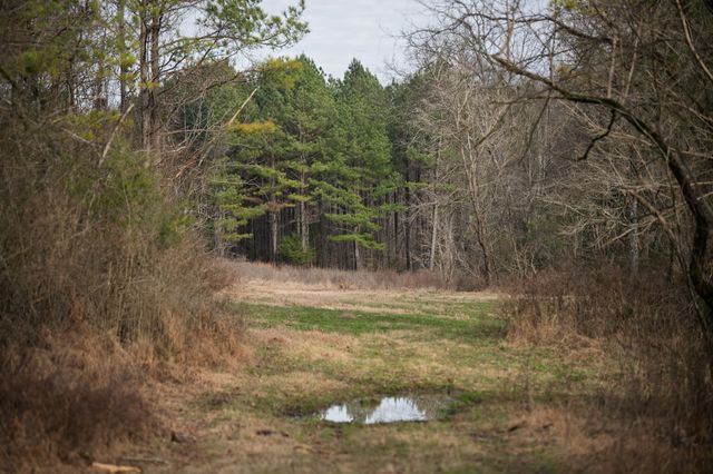 680 Morrell Road, Pulaski, TN 38478