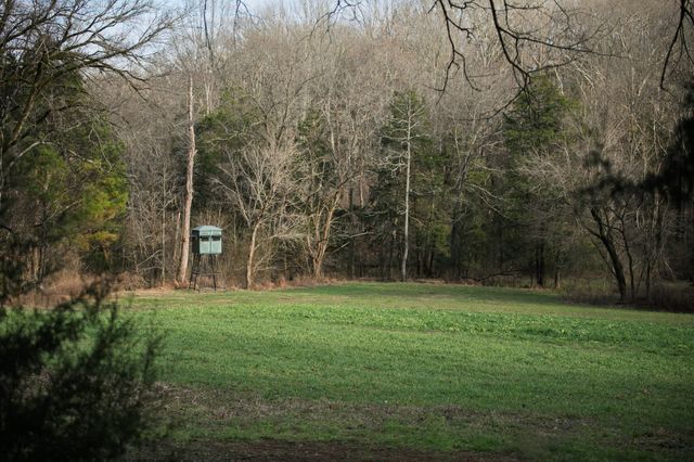 680 Morrell Road, Pulaski, TN 38478