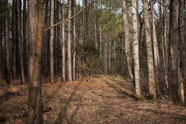 680 Morrell Road, Pulaski, TN 38478