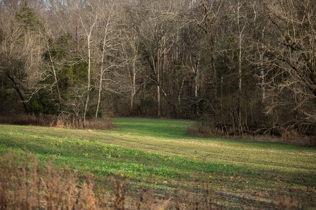 680 Morrell Road, Pulaski, TN 38478