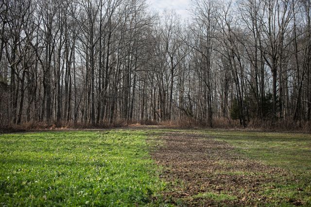 680 Morrell Road, Pulaski, TN 38478