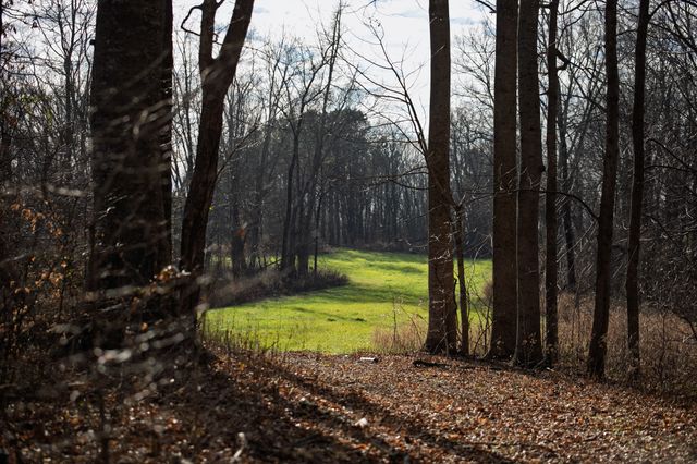 680 Morrell Road, Pulaski, TN 38478