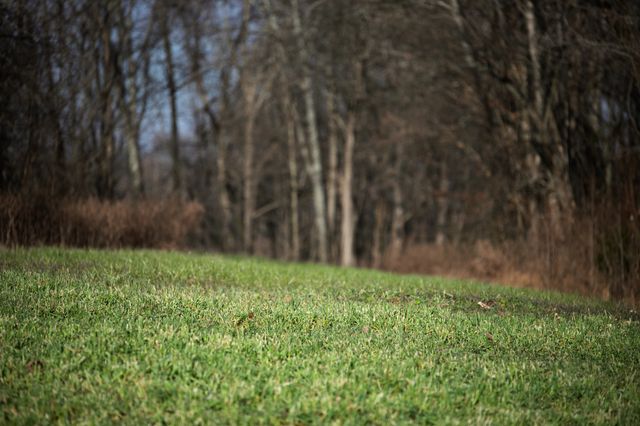 680 Morrell Road, Pulaski, TN 38478