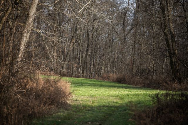 680 Morrell Road, Pulaski, TN 38478