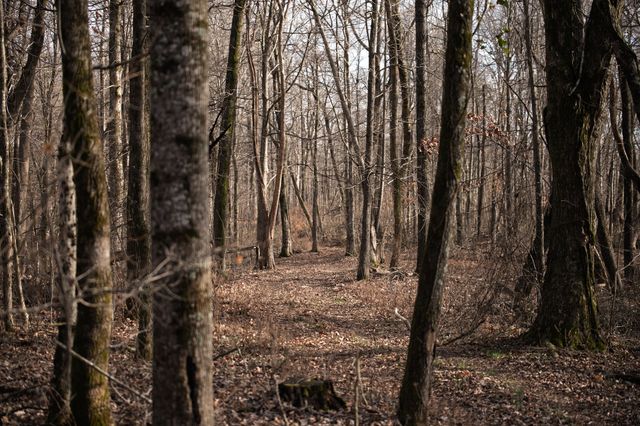 680 Morrell Road, Pulaski, TN 38478