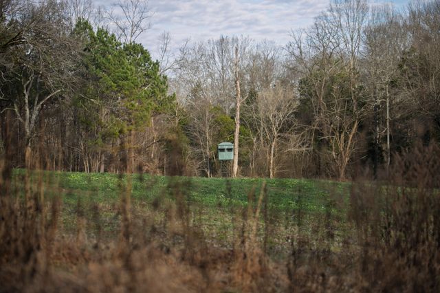 680 Morrell Road, Pulaski, TN 38478