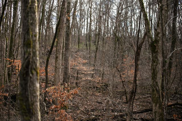 680 Morrell Road, Pulaski, TN 38478