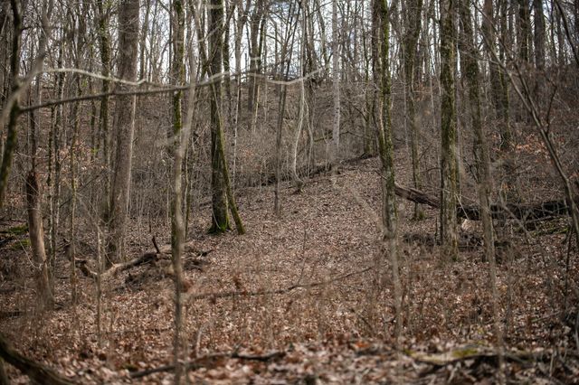 680 Morrell Road, Pulaski, TN 38478