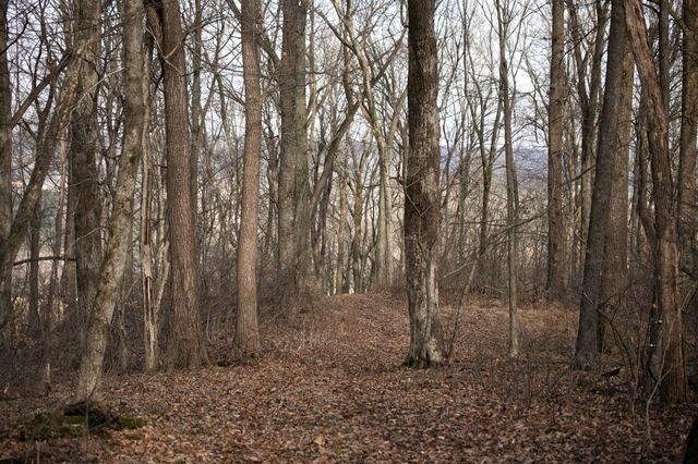 680 Morrell Road, Pulaski, TN 38478