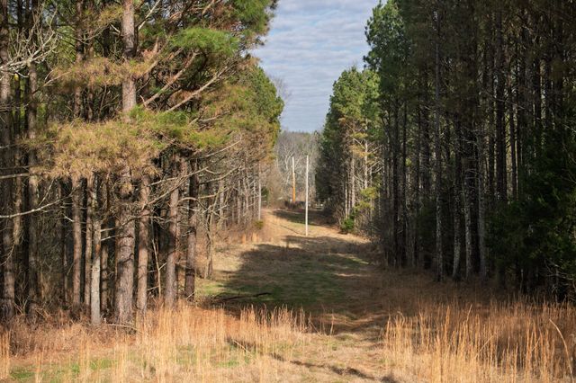 680 Morrell Road, Pulaski, TN 38478