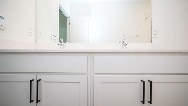 32533 MIDSUMMER NIGHT LANE, Wesley Chapel, FL 33543