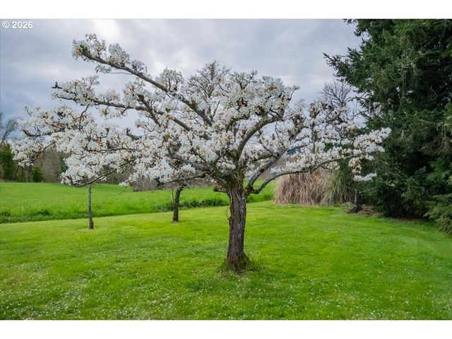 16770 S SWAN Ave, Oregon City, OR 97045