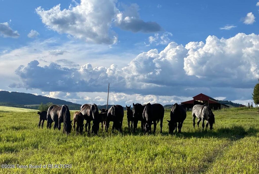 95 AUBURN-FOREST Road, Auburn, WY 83111 photo 77
