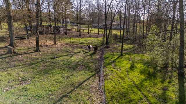 1731 Summertown Hwy, Hohenwald, TN 38462