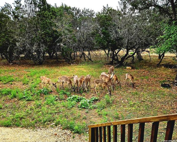 256 NAKOMIS DR, Bandera, TX 78003