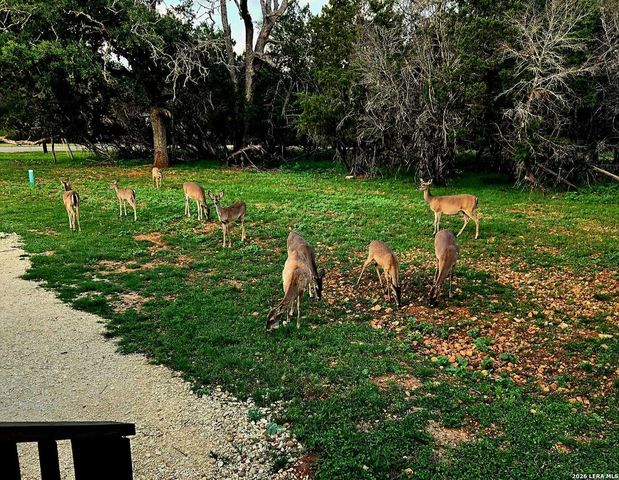 256 NAKOMIS DR, Bandera, TX 78003