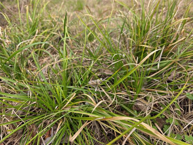 0 County Road 126, Van Vleck, TX 77482