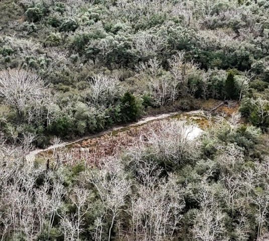 0 County Road 126, Van Vleck, TX 77482