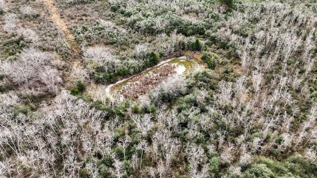 0 County Road 126, Van Vleck, TX 77482