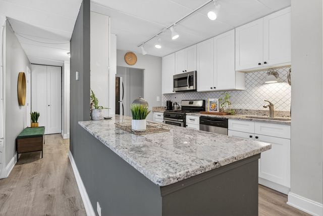 1041 N Mill Street 203, Naperville, IL 60563