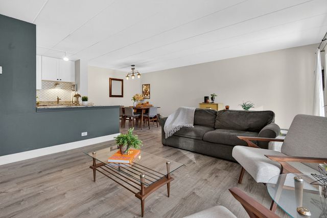 1041 N Mill Street 203, Naperville, IL 60563