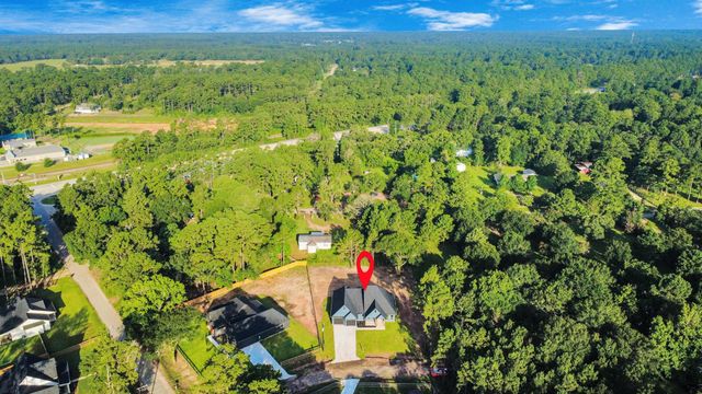 15315 Alchester Court, Plantersville, TX 77363