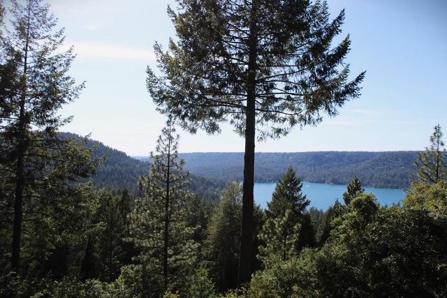 13250 Little York Close, Nevada City, CA 95959