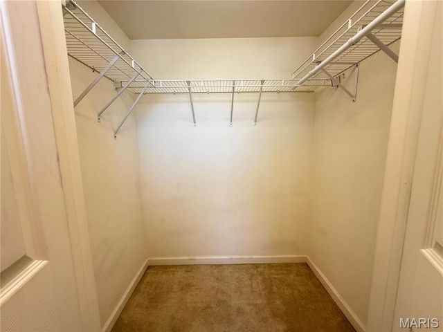 3605 Tracey Rich Road 3D, St Louis, MO 63125