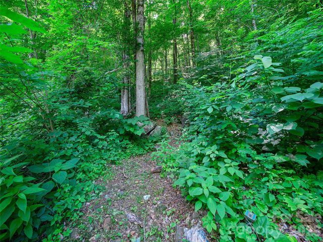 311 Old Sawmill Road, Burnsville, NC 28714