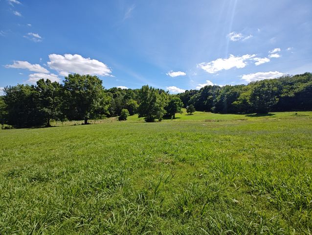 2770 Beech Log Rd, Watertown, TN 37184