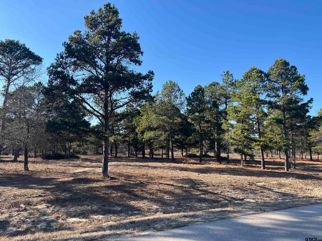 3135 Shadow Pine Drive, Larue, TX 75770