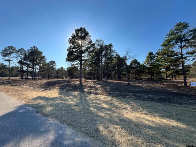 3135 Shadow Pine Drive, Larue, TX 75770